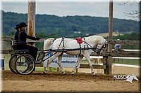 4H-2nd-070916-1390.jpg