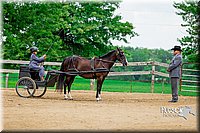 4H-2nd-070916-1405.jpg