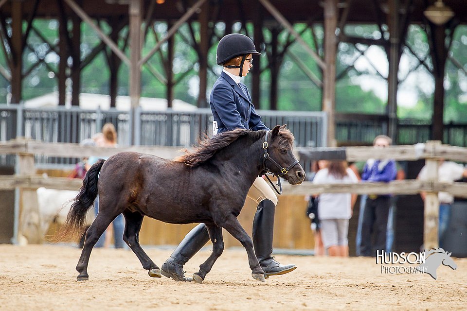 4H-2nd-070916-1561.jpg