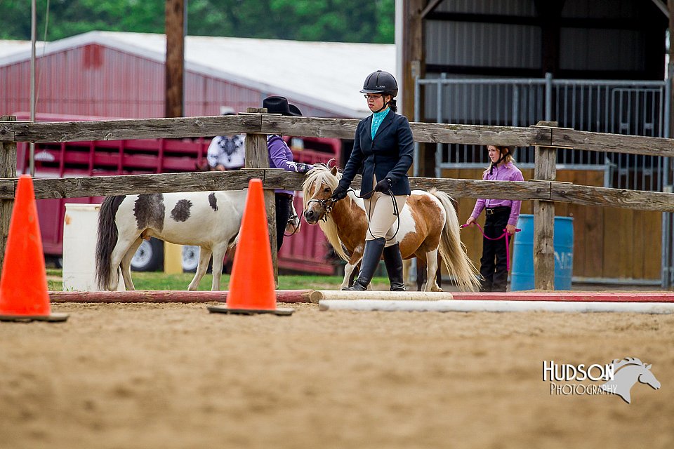 4H-2nd-070916-1566.jpg