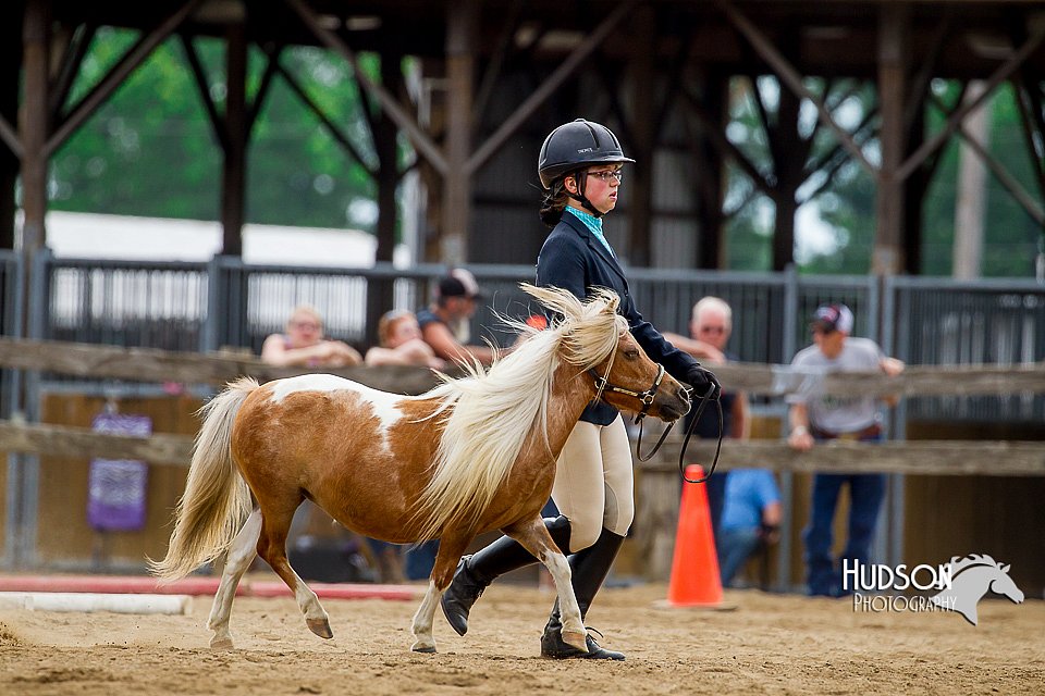 4H-2nd-070916-1579.jpg