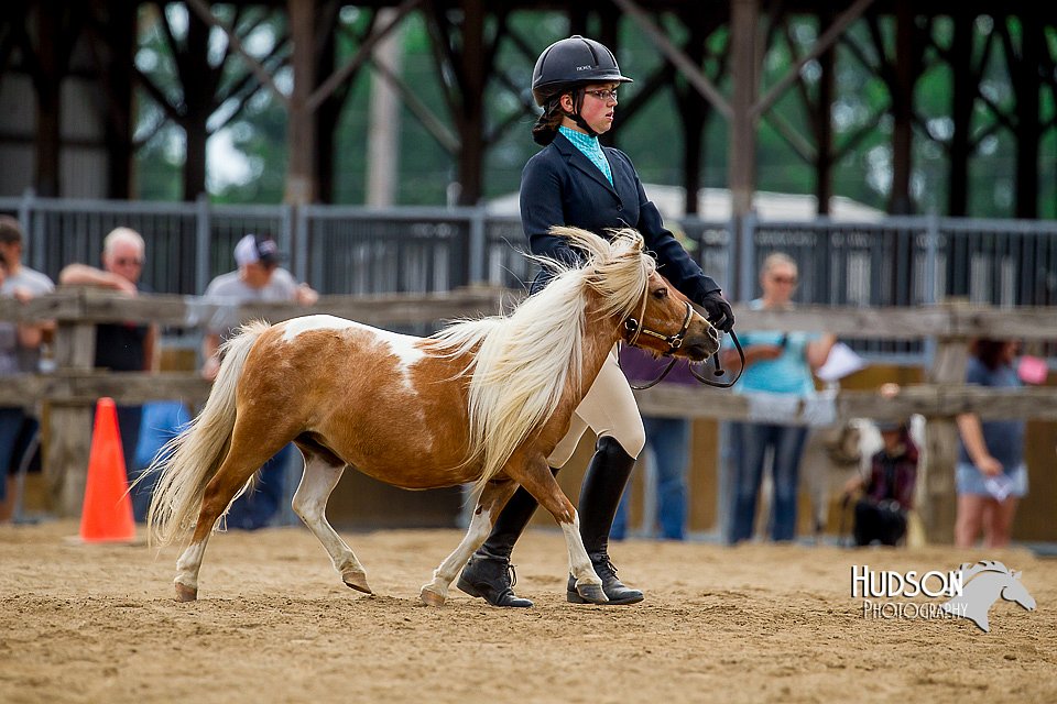 4H-2nd-070916-1580.jpg