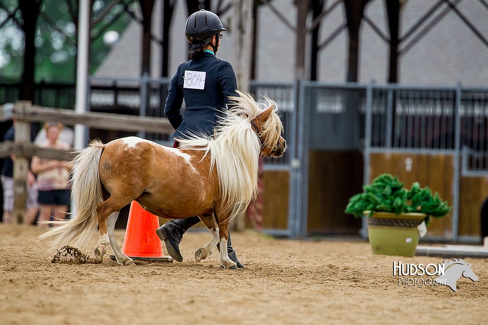 4H-2nd-070916-1581.jpg