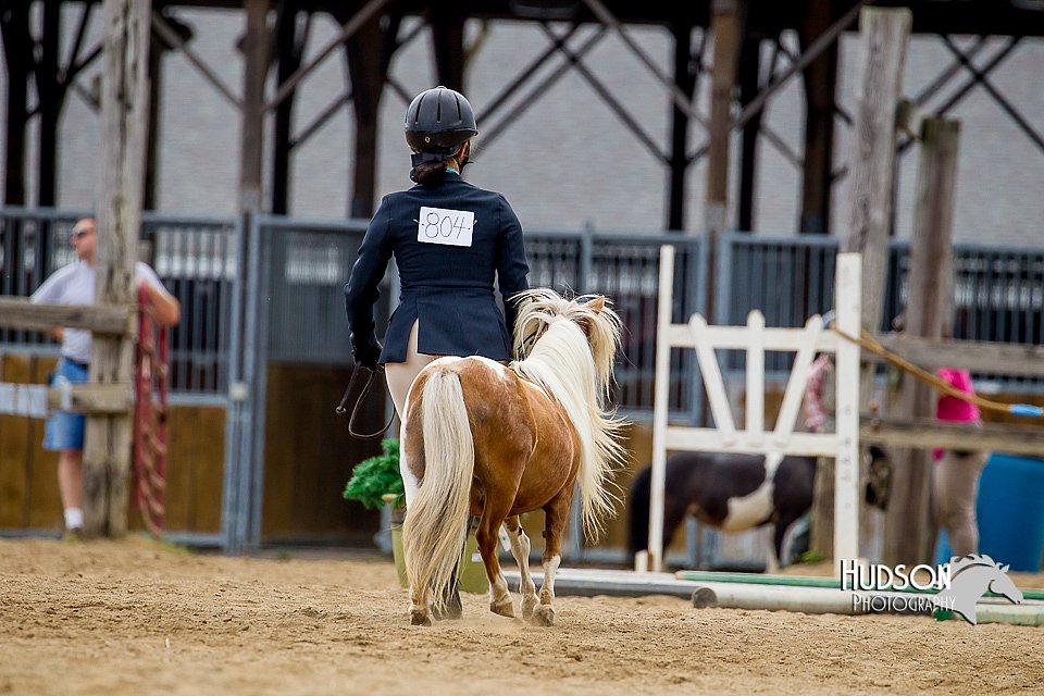 4H-2nd-070916-1582.jpg
