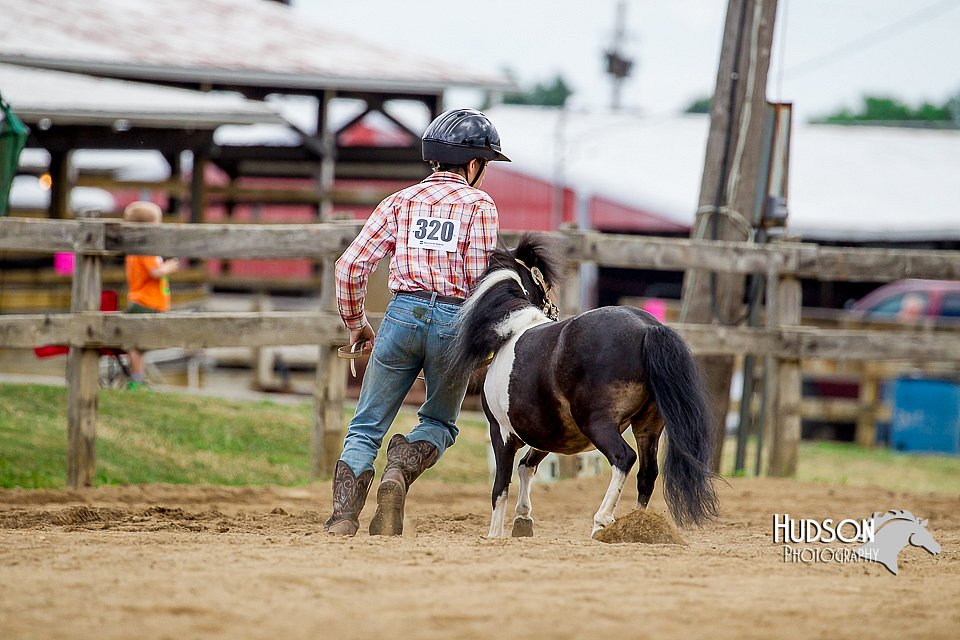 4H-2nd-070916-1593.jpg