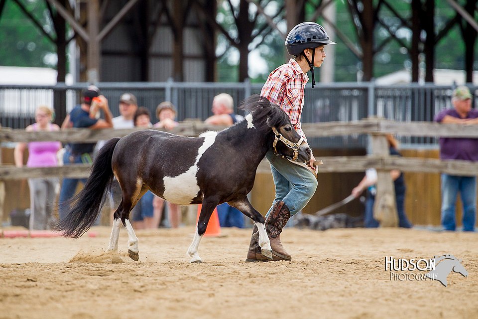 4H-2nd-070916-1598.jpg