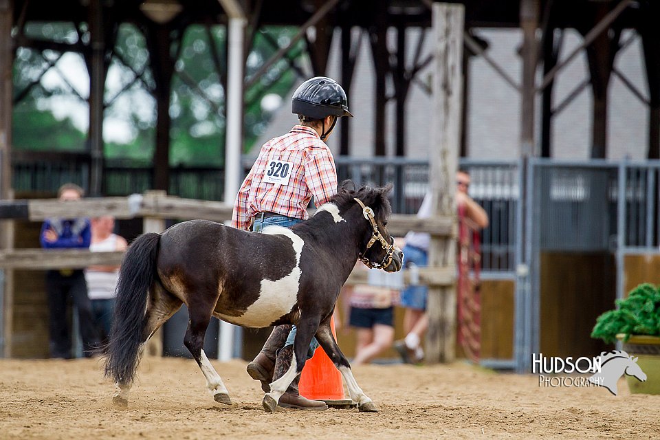 4H-2nd-070916-1599.jpg
