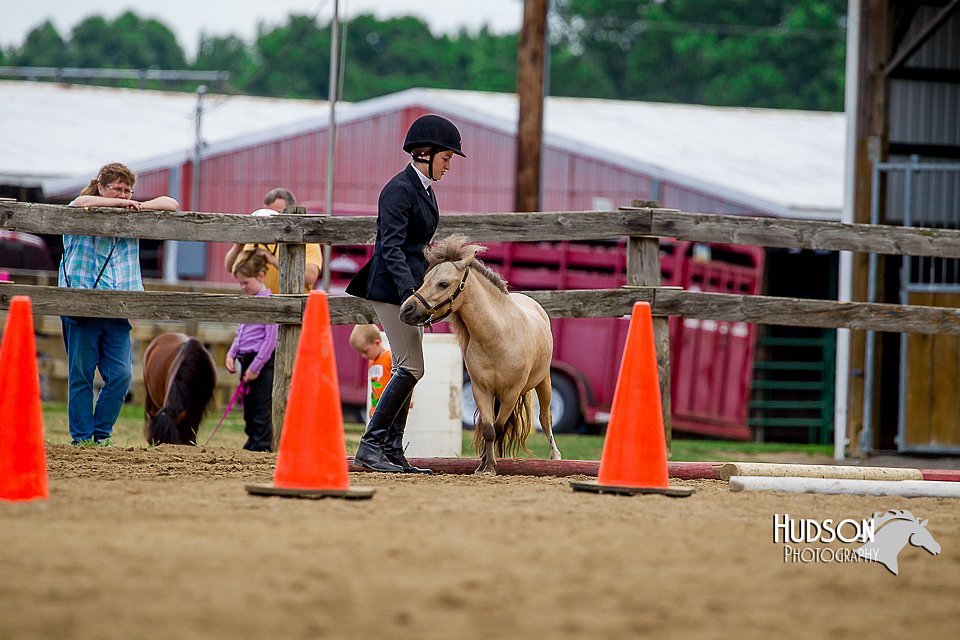 4H-2nd-070916-1600.jpg