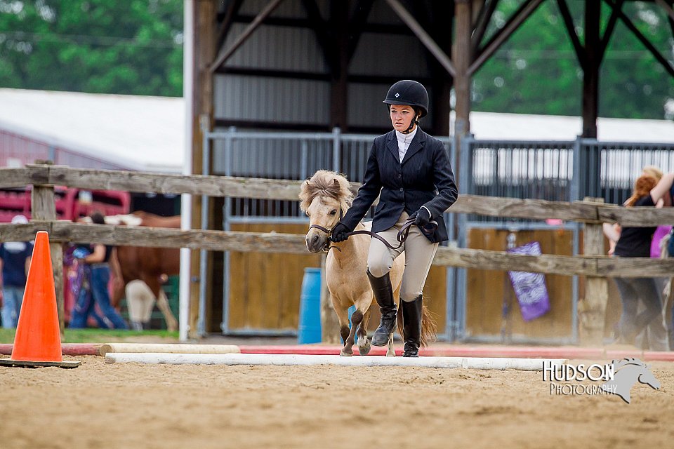 4H-2nd-070916-1602.jpg