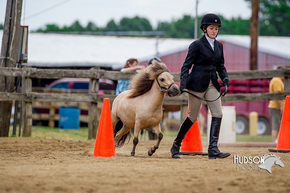4H-2nd-070916-1605.jpg