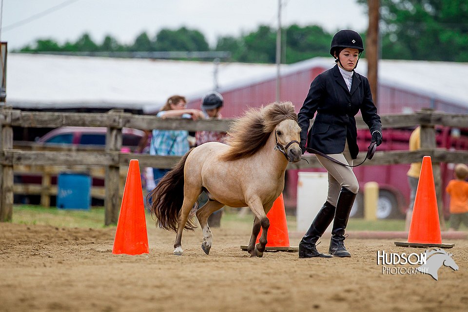4H-2nd-070916-1606.jpg