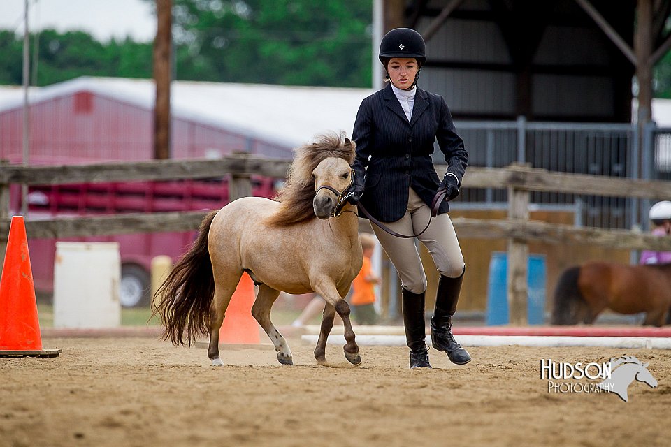 4H-2nd-070916-1607.jpg