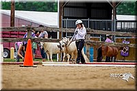 4H-2nd-070916-1532.jpg