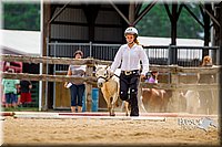 4H-2nd-070916-1537.jpg