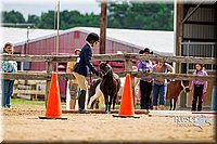 4H-2nd-070916-1546.jpg