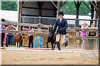 4H-2nd-070916-1551.jpg