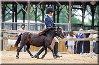 4H-2nd-070916-1561.jpg