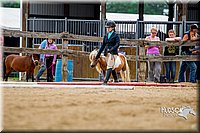 4H-2nd-070916-1563.jpg