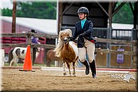 4H-2nd-070916-1577.jpg