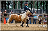 4H-2nd-070916-1580.jpg