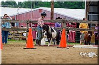 4H-2nd-070916-1584.jpg
