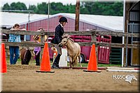 4H-2nd-070916-1600.jpg