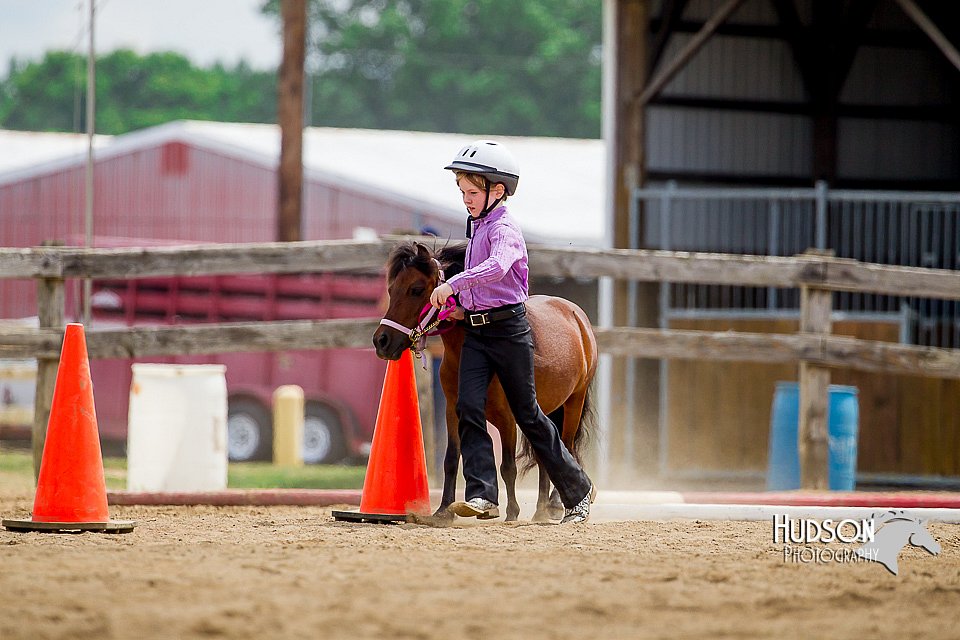 4H-2nd-070916-1634.jpg