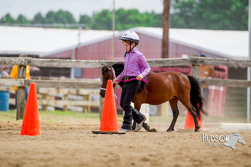 4H-2nd-070916-1635.jpg