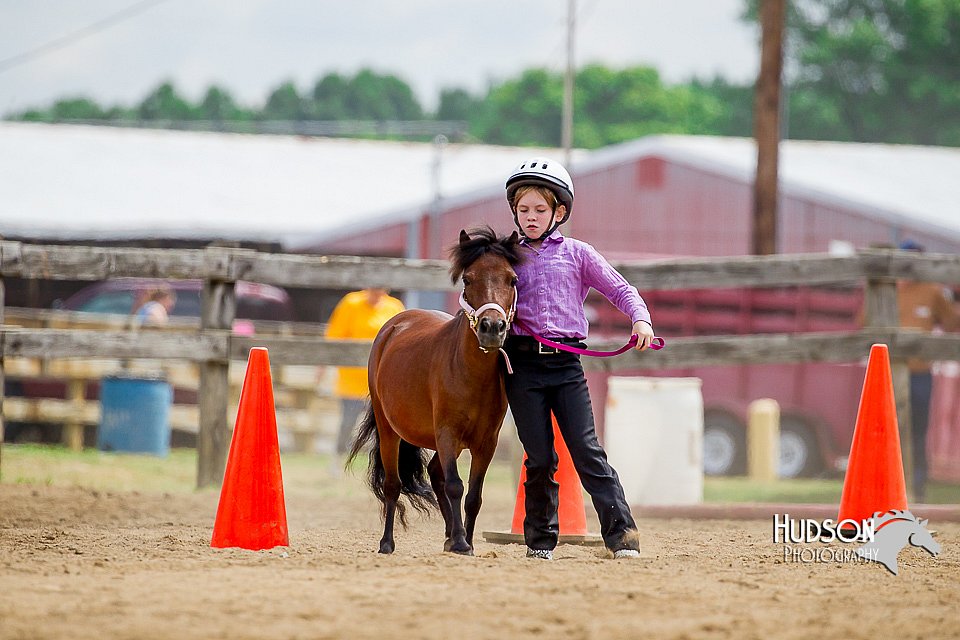 4H-2nd-070916-1637.jpg