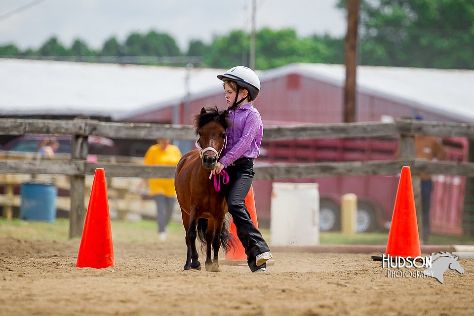 4H-2nd-070916-1638.jpg
