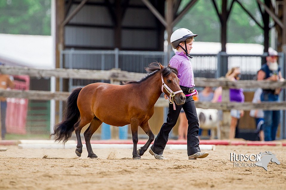 4H-2nd-070916-1640.jpg