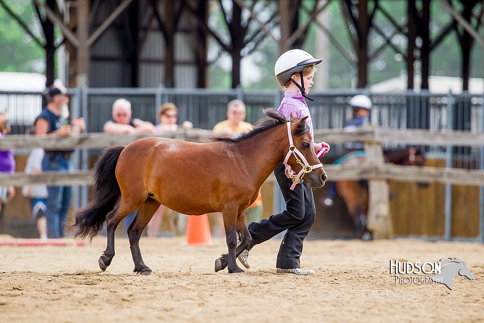 4H-2nd-070916-1641.jpg