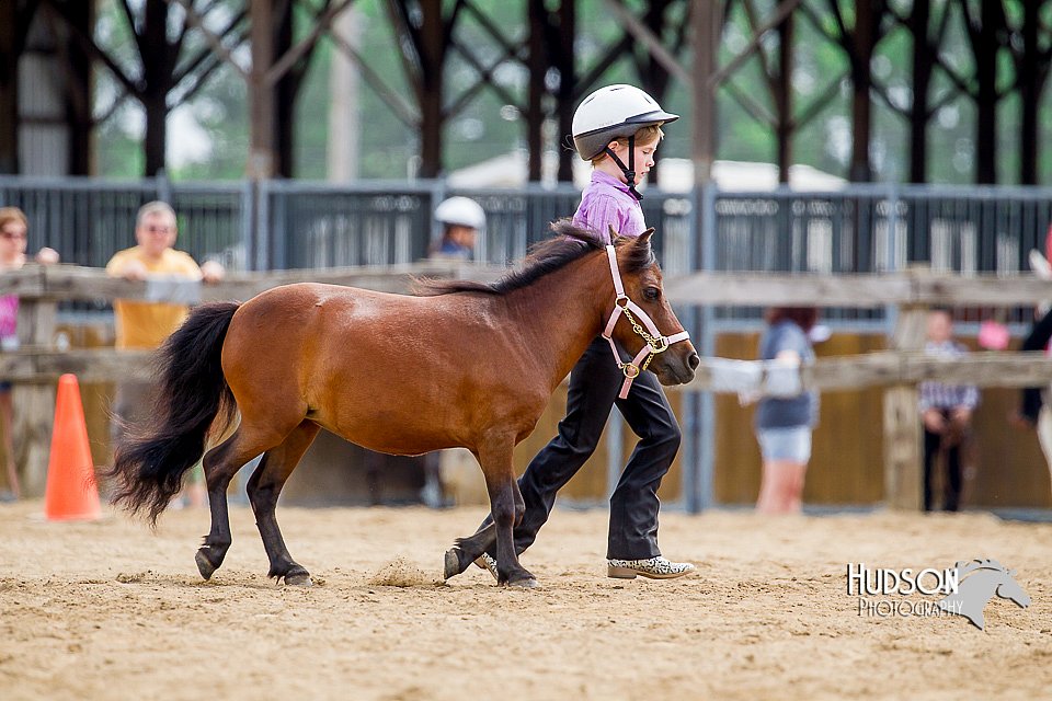 4H-2nd-070916-1642.jpg