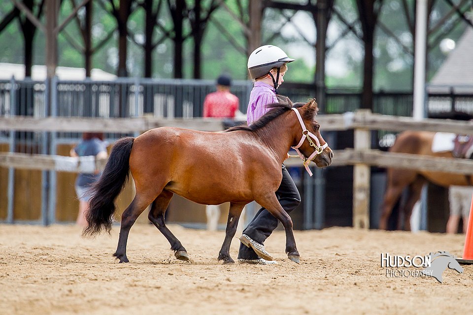 4H-2nd-070916-1643.jpg