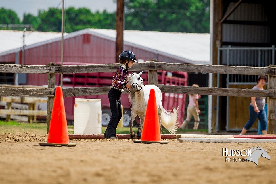 4H-2nd-070916-1644.jpg