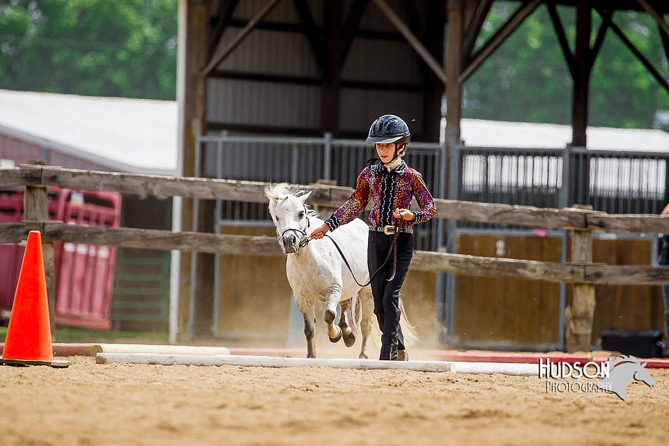 4H-2nd-070916-1645.jpg