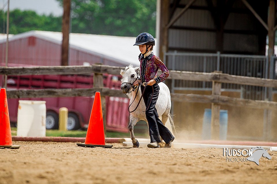 4H-2nd-070916-1646.jpg
