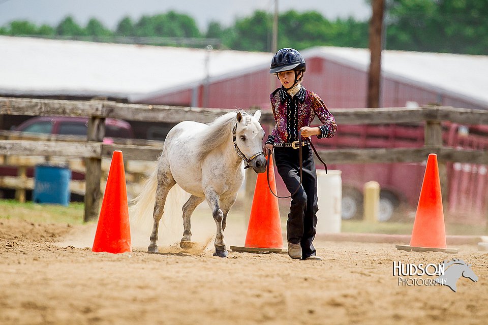 4H-2nd-070916-1648.jpg