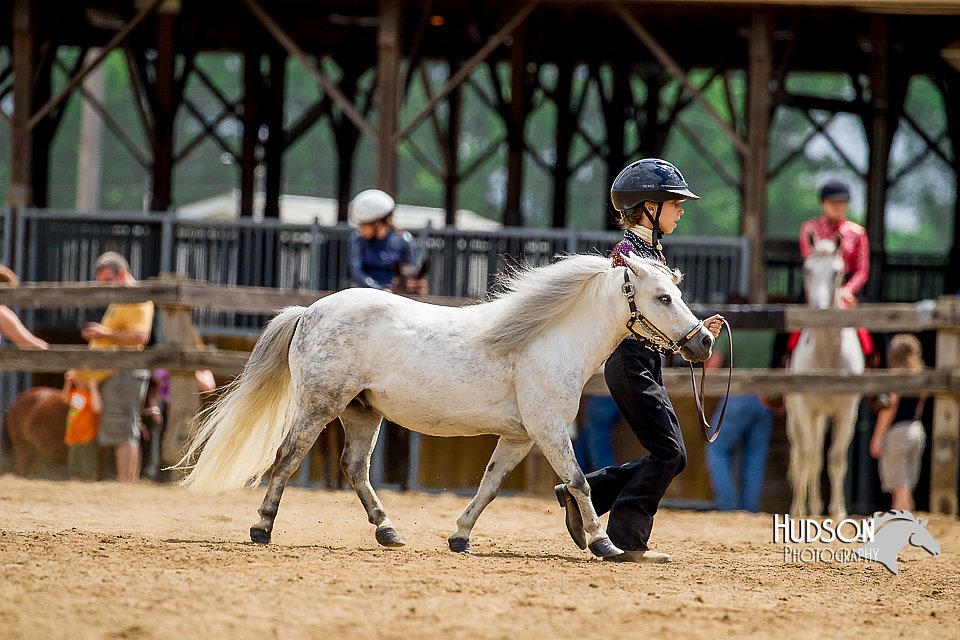 4H-2nd-070916-1650.jpg