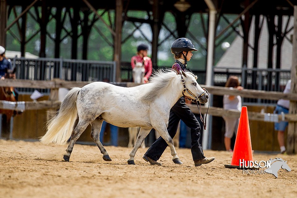 4H-2nd-070916-1651.jpg