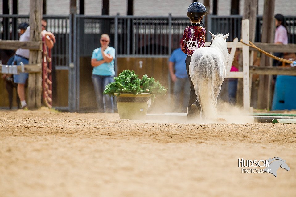 4H-2nd-070916-1654.jpg