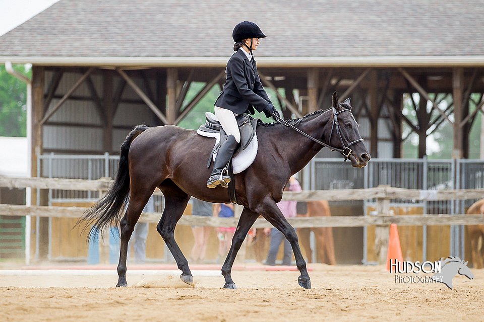 4H-2nd-070916-1703.jpg