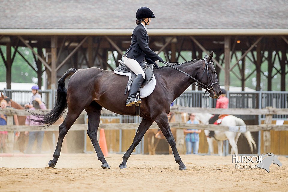 4H-2nd-070916-1704.jpg
