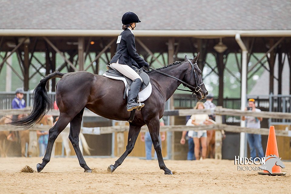 4H-2nd-070916-1705.jpg