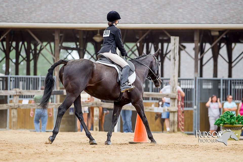 4H-2nd-070916-1706.jpg