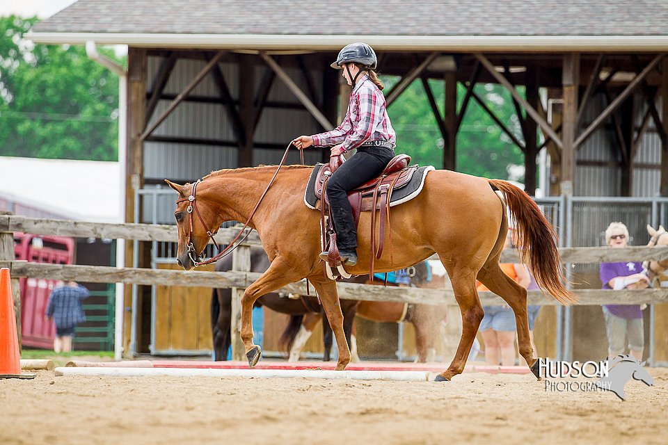 4H-2nd-070916-1811.jpg