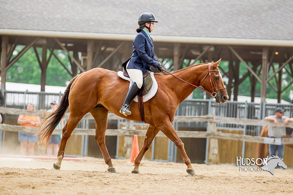 4H-2nd-070916-1837.jpg