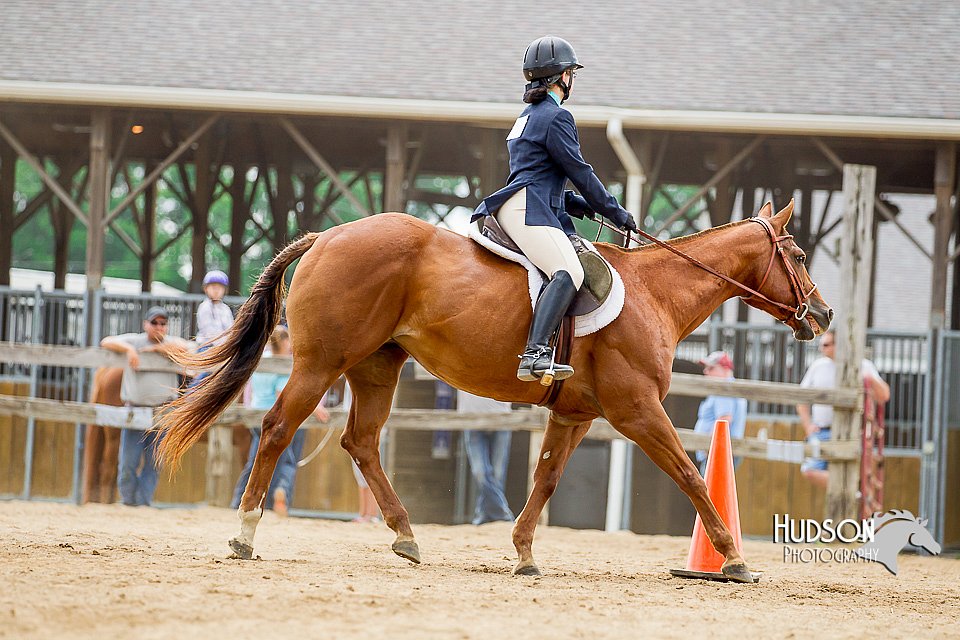 4H-2nd-070916-1838.jpg