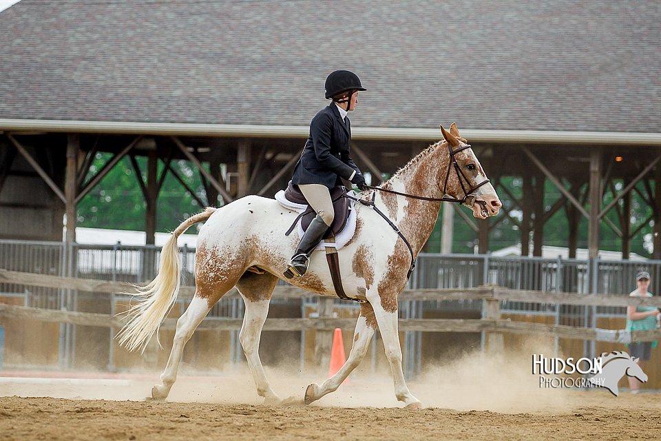 4H-2nd-070916-1848.jpg