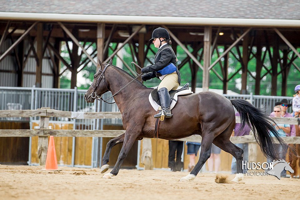 4H-2nd-070916-1850.jpg